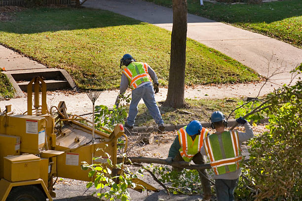 Best Arborist Consultation Services  in Golden Beach, MD